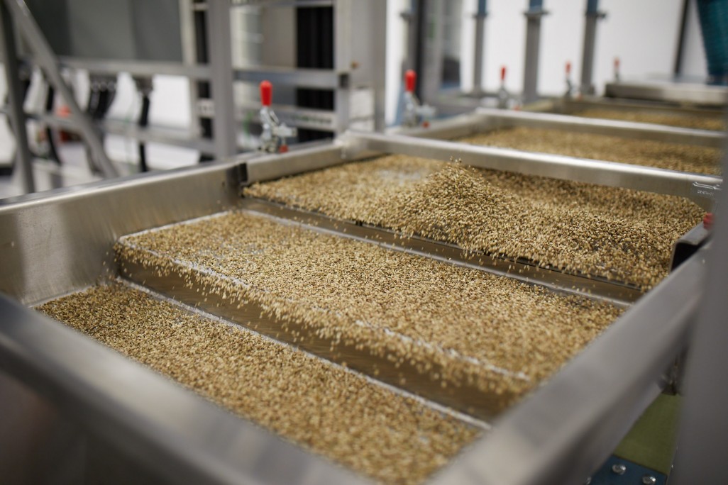 BlueSkyHempProof7951 min