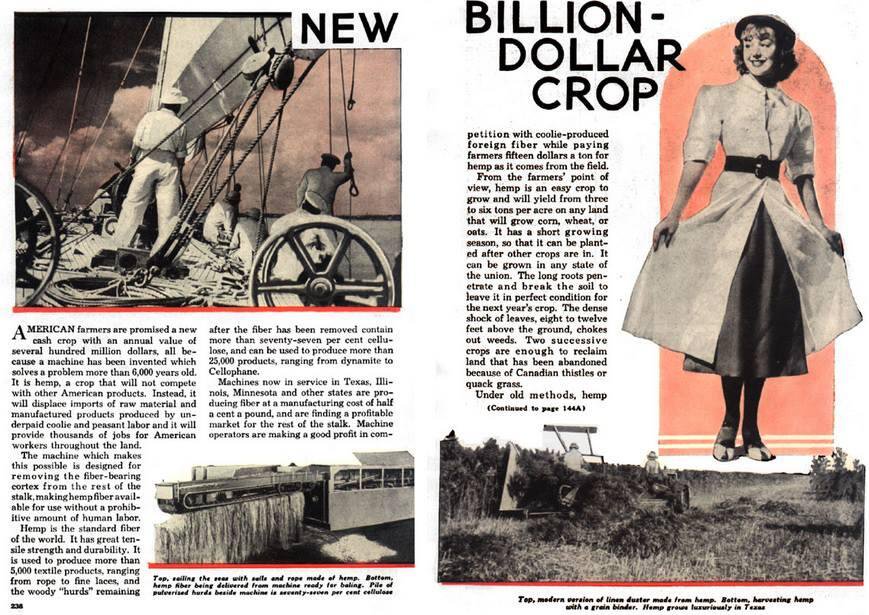 1938 Popular Mechanics Hemp Article 1938 Popular Mechanics Hemp Article